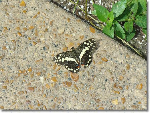 You have reached the last slide