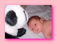 5 weeks - Amanda & Panda