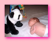 5 weeks - Amanda & Panda